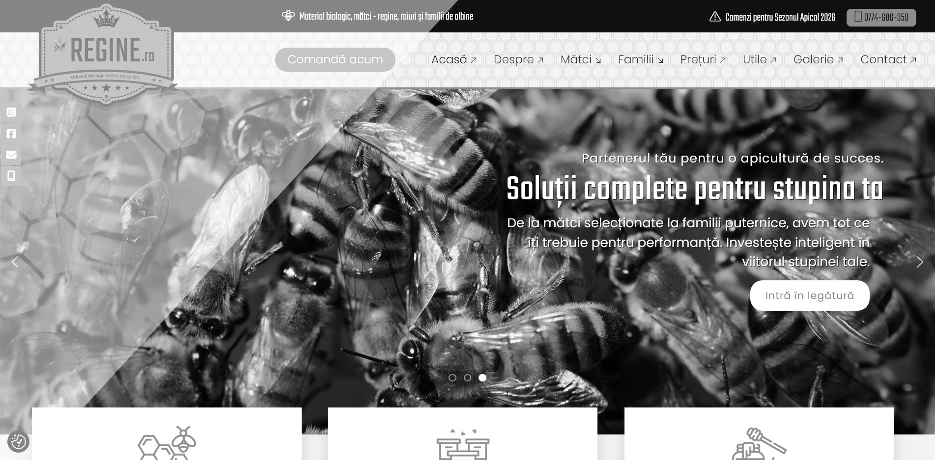 Portofoliu - Regine.ro